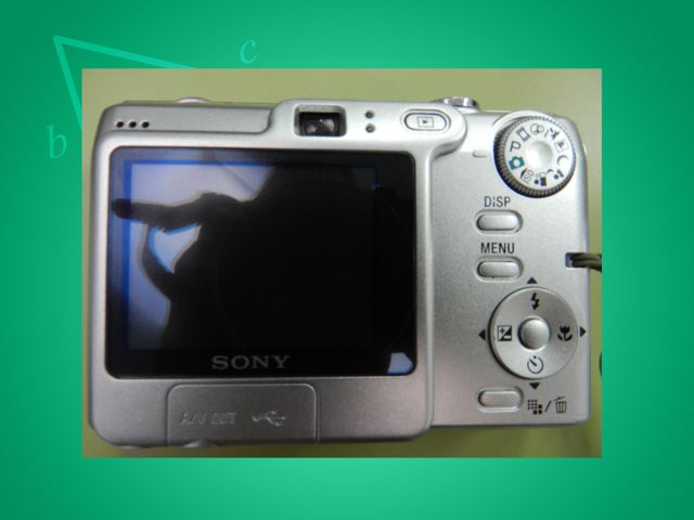 Cámara Alicia by Mario Ruiz