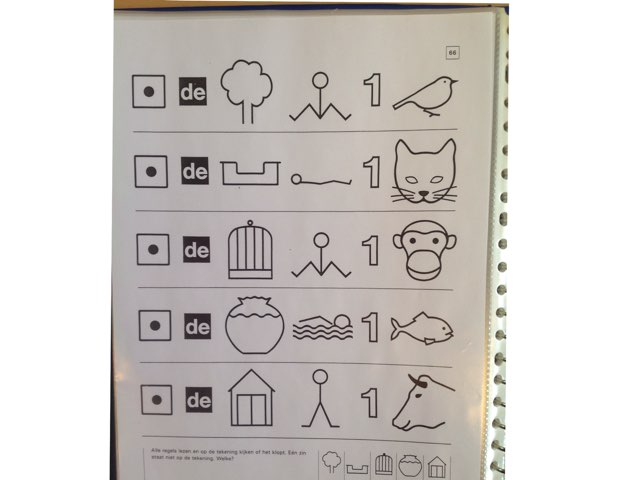 Spel 31 by Ariane Ranitz