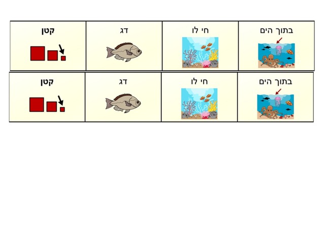 כתיבת משפט על סיפור כספיון by רינת