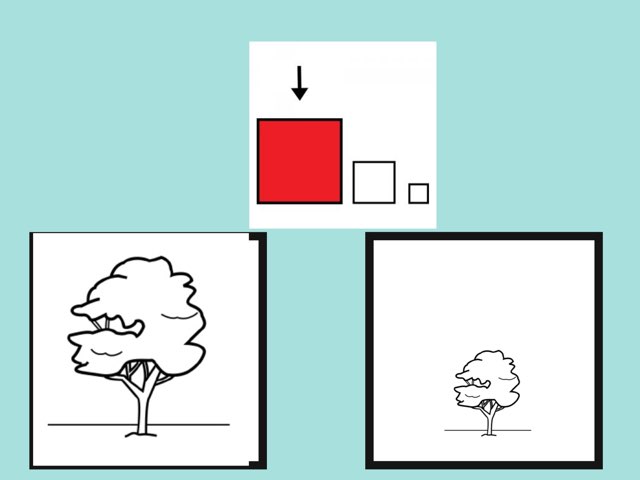 Concepto básico grande by Luchi Lu