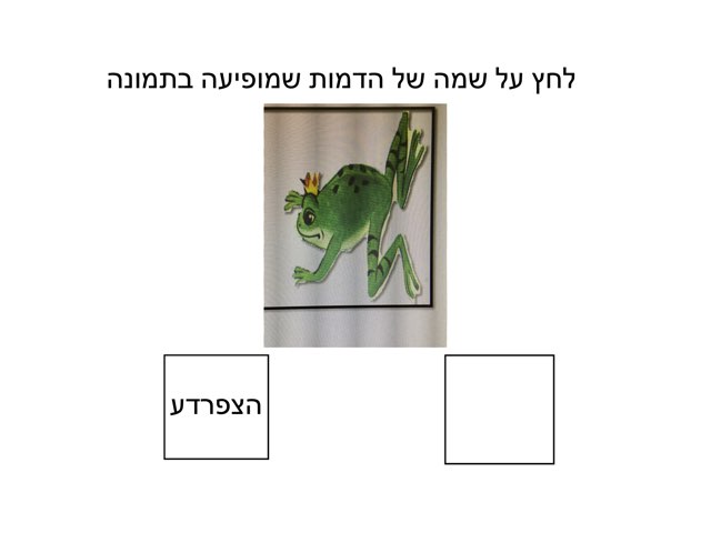 משחק 12 by סדנת דוד ילין