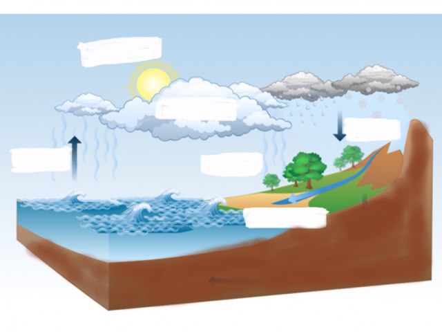 Student 1 Receptive by Sandra Wilson