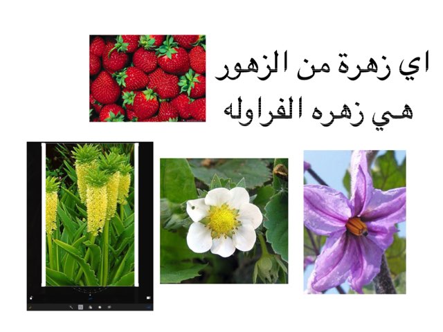 لعبة 26 by Badria261 salah