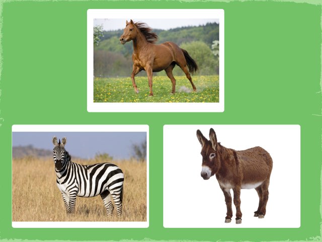 K3-2 by skhsjps St.james