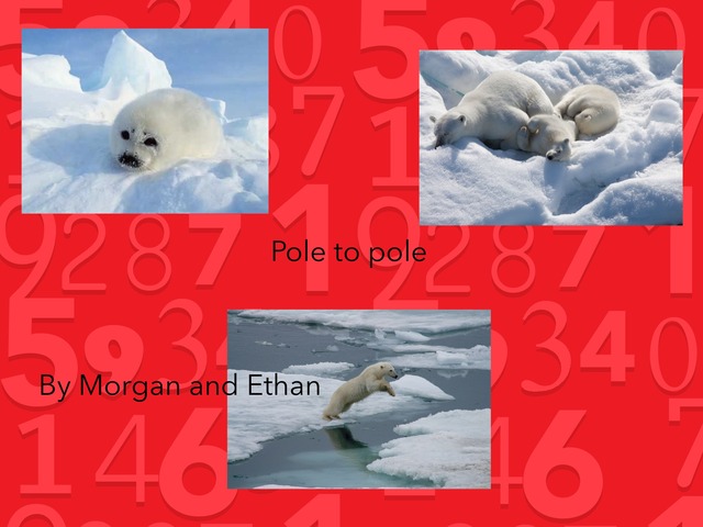 Morgan And Ethan by Hillside Primary