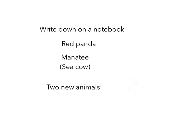 Red Panda Rescue And Learning Sea Cow by Flora Silver