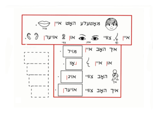 CHOOSE THE CORRECT PART OF THE FACE by Nesh Goldgrub