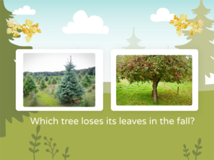 CKLA_KindergartenKnowledgePlants by Heather Stein