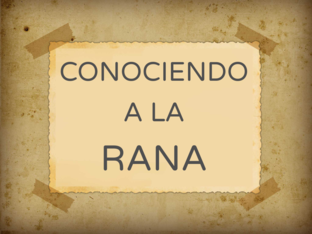 CONOCE A LA RANA by Bea Granadilla