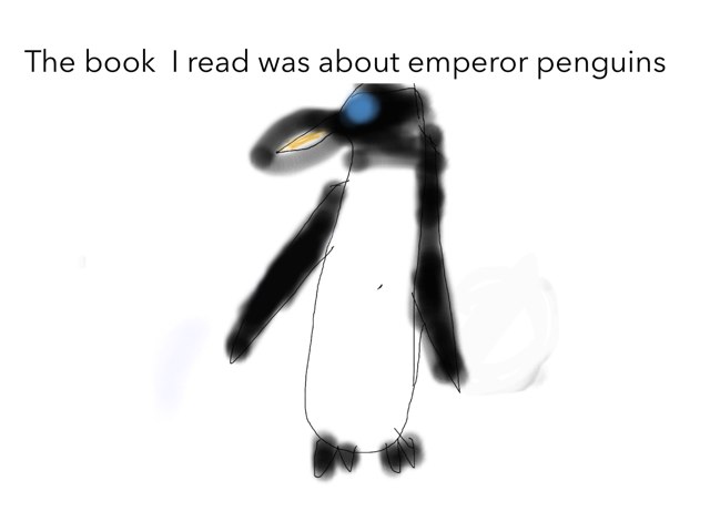 Camden's penguin Report by Steven Muska