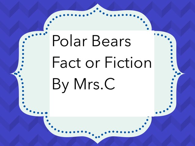 Camp carrio by Kay Carrio