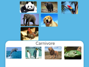 Carnivore by Prae Kullasatri