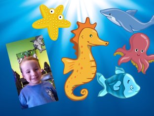 Carter's Aquarium Game by Betty Reynolds