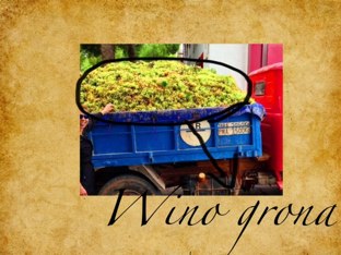 Castilla La Mancha by Nikola K. Olechowska