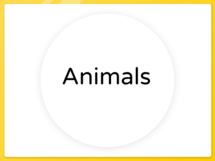 Categories/Items by Cristina Cardenas