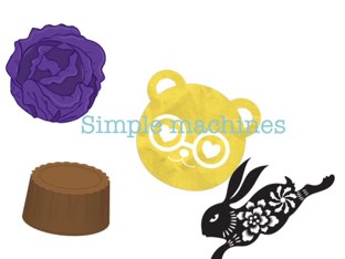 Cecilia by Mrs Shreve