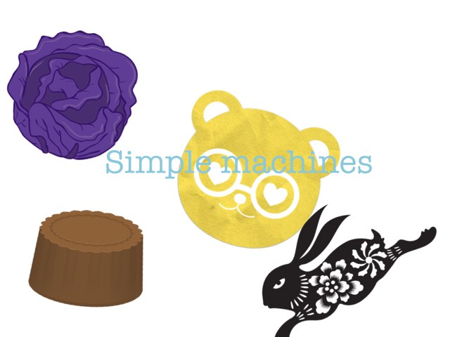 Cecilia by Mrs Shreve