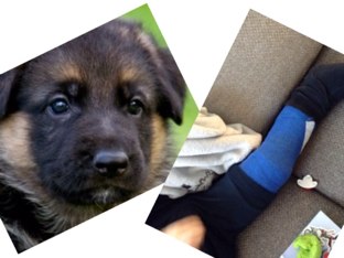 Celeste's Spellen by Celeste Brouwer