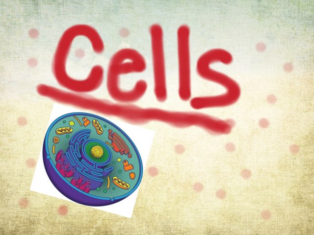 Cells Free Games online for kids in Nursery by K1 GaPa