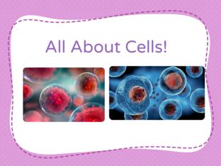 Cells by Winolee Furtney