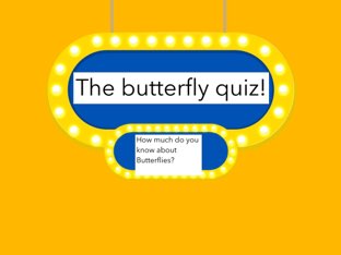Charlotte's Butterfly Quiz  by Charlotte Pancakes