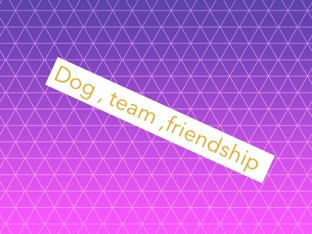 Ching22 And Dog246 by Sally Hussain