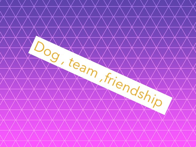 Ching22 And Dog246 by Sally Hussain