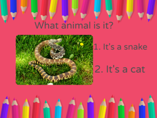 Choose the animal by piedad rosell cerro