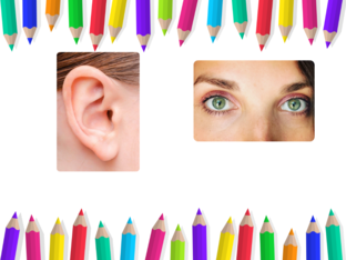 Choose the correct answer by Ruqaya almamri