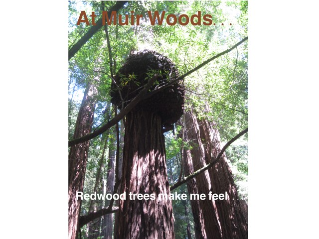 Colin, Edwin, Devan by Kristi Luo