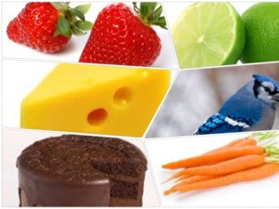 Color Game by Rosana Diaz