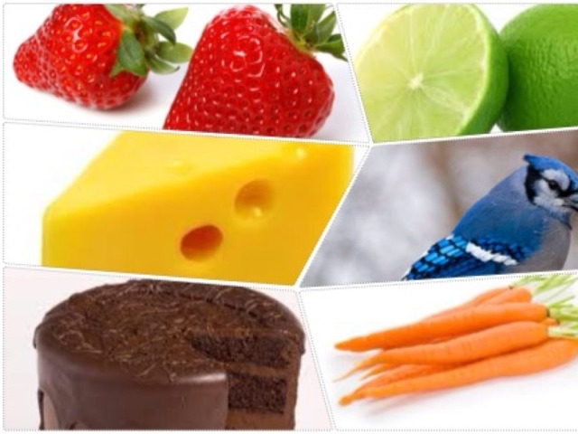 Color Game by Rosana Diaz