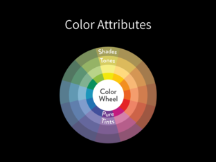Color Attribute Game by Briana Stanley
