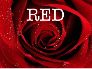 Colours by Paloma MM