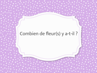 Combien de fleur(s) y a-t-il ? by Laura Hottiaux