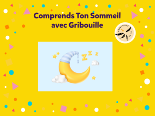 Comprend Ton Sommeil avec Gribouille ta Vie by Alima Diarra