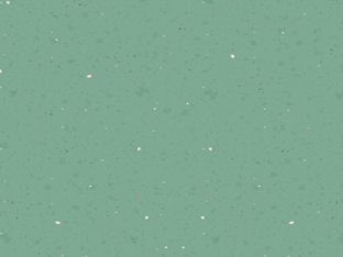 Comunicación oral by Cristina López