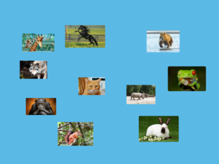 Conosciamo gli animali by Giovanni