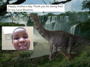 Cooluzul by Tracie paz