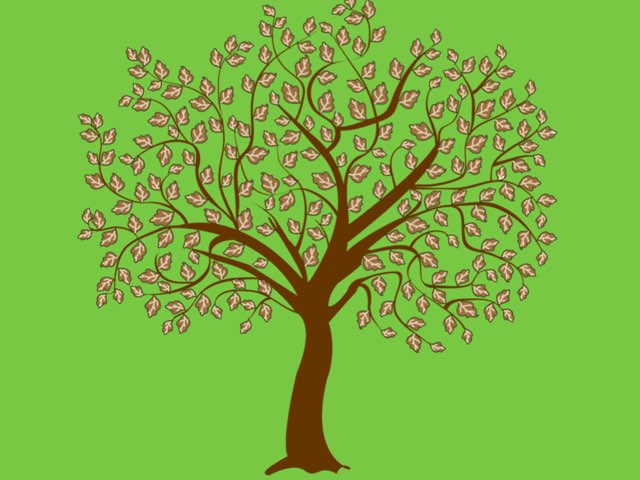 Copac FREE by Bogdan Ciubuc