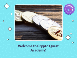 Crypto Quest Academy by Dream Dream
