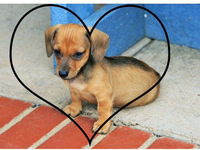 Crystal Castelain  by Marion Durand