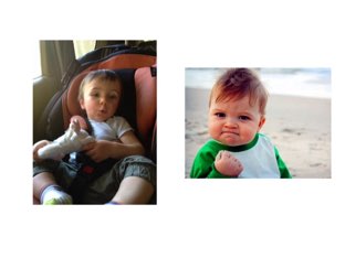 Cual es Silvestre by Javi diaz