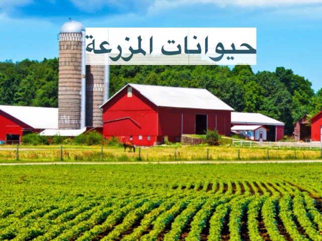 משחק 9 by Nebal Halaby