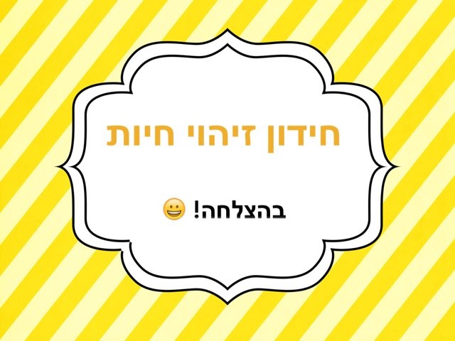חידון זיהוי חיות by Noy Elbaz