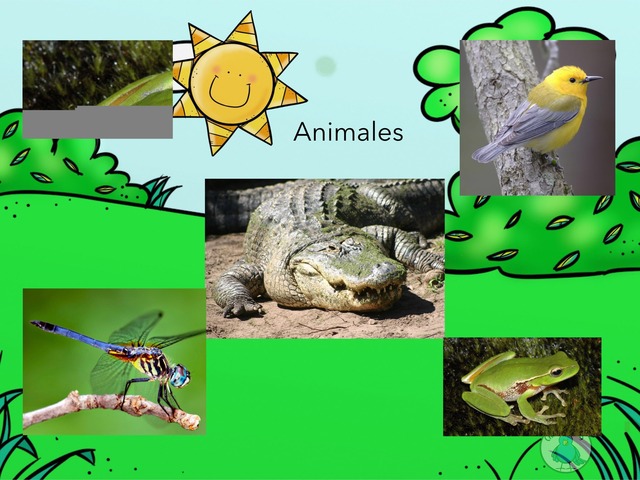 Los Animales Vertebrados by María Victoria Lorido Blanco