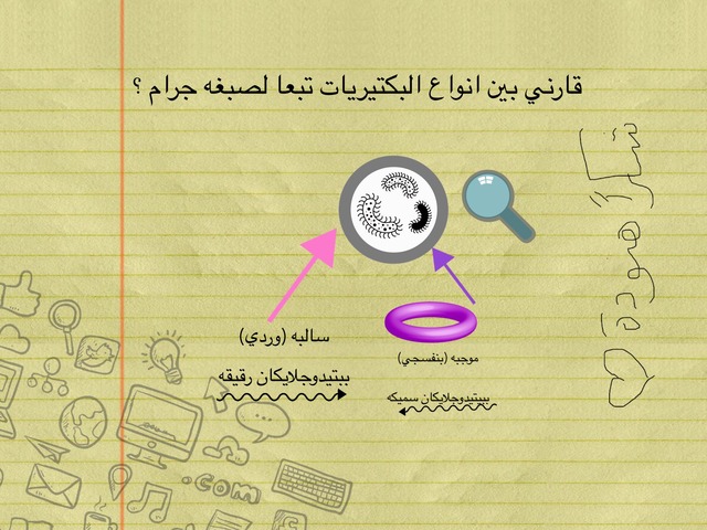 بكتيريا صبغه جرام  by Wardah Al-Hammadi