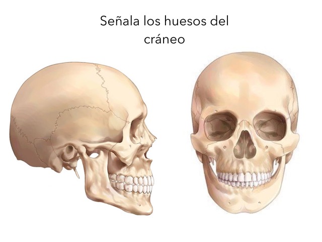 Señala Partes by Itziar Garcia Cano