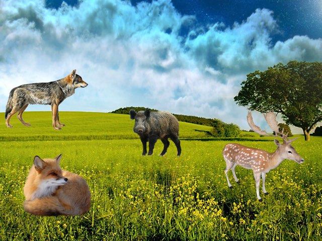 animales marcelle by Yaiza blanco