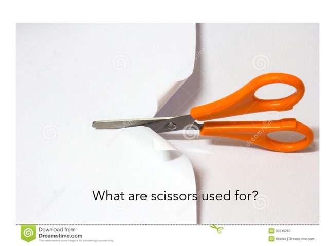 Function  by Betty-Ann Reid